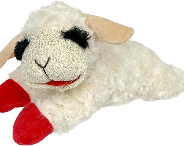 Multipet Lamb Chop Dog Plush Toy - Squeaky Dog Toy for Small & Medium Dogs - Extra Soft Plush Dog Toy - Stuffed Animal Dog Toy for Cuddling & Playing - Cute Pet Toy (10", Cream, 5 Squeakers)