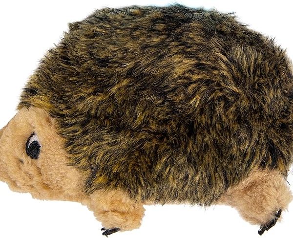 Outward Hound, Hedgehogz Plush Dog Toy, Medium